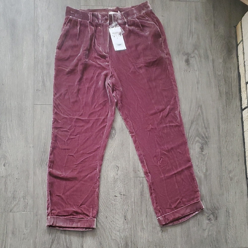 Velvet Burgundy Pants